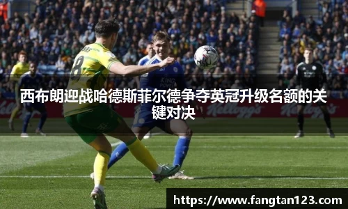 西布朗迎战哈德斯菲尔德争夺英冠升级名额的关键对决